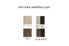 Ausführungsbild
