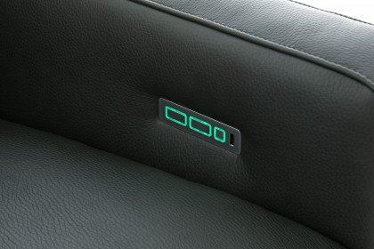 36130 Louis von Willi Schillig - Ledergarnitur forest