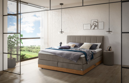 Pronto von Hasena - Boxspringbett Pedrosa in Grey