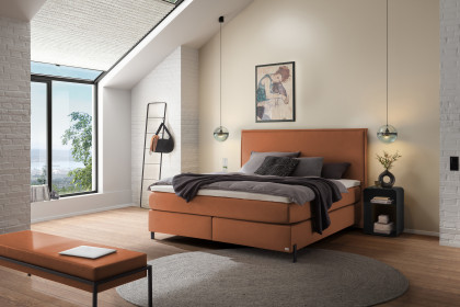 Comfort von Hasena - Boxspringbett Fiona in Pican