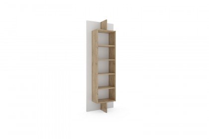 cadre.plus von Röhr-Bush - Regal mit Paneel & 5 Fächern weiß - Eiche Votan