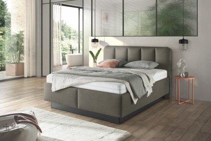 Bari von Musterring - Polsterbett KT 25011 nougat