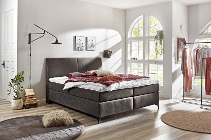 Somo von vito - Boxspringbett Scana in Fossil